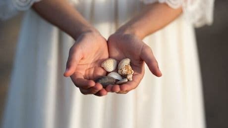Tourists told to take care on beaches as woman 'nearly dies' handling shell