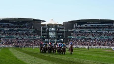 New £3.6million marketing drive ignores the reason people REALLY love horse racing