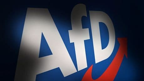 „Das ist kein Geheimplan“ – Brandenburger AfD-Gutachten angeblich im Internet einsehbar