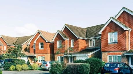 'I started turning my driveway into a garden - then a neighbour came round'