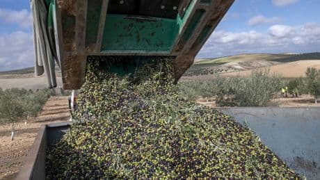 El secreto mediterráneo para conseguir sin esfuerzo la etiqueta ecológica