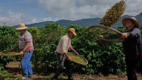 Donald Trump vs. Brasilien: »Zölle würden Kaffeepreise explodieren lassen«