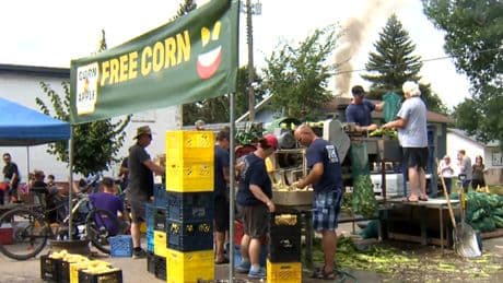 Morden feels the buzz around Manitoba’s largest street party