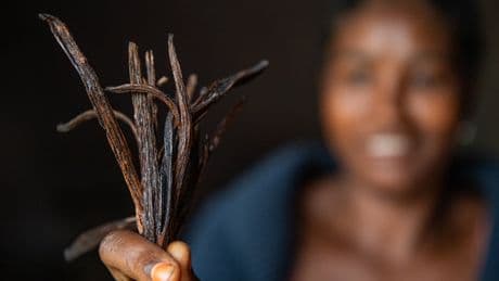 How the climate crisis and aid cuts could devastate global supplies of vanilla