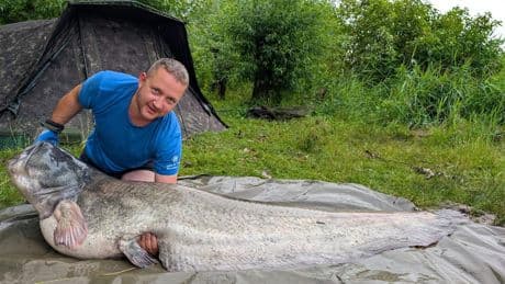 Rekord im Bundesland - Angler fängt diesen riesigen Wels in deutschem See