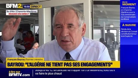 Loi Duplomb: "le gouvernement tirera les conclusions comme il se doit" après la décision du Conseil constitutionnel, assure François Bayrou