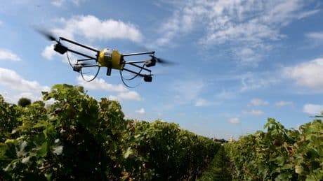 Phytosanitaires: dans certains cas, l’épandage par drone désormais autorisé