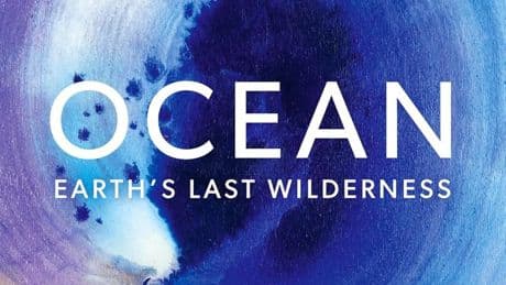 Ocean review: At 99, David Attenborough still wants to change the world