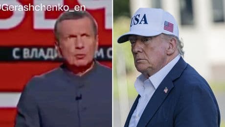Putin-Propagandist schießt im TV gegen Trump: "Hat er denn nichts gelernt?"