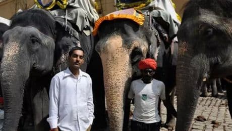 I was laughed at for making paper from elephant poo – now business is booming