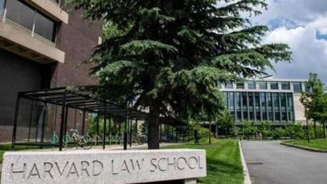 Harvard, la Casa Bianca blocca le iscrizioni agli studenti stranieri