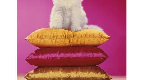“Chromotherapia”, “une thérapie de choc” par la couleur à la villa Médicis