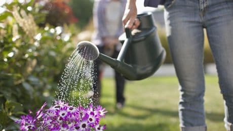 Einfache Tipps: So spart man im Garten und auf dem Balkon Wasser