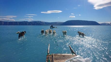 La OMS declara el cambio climático como crisis sanitaria y crea una comisión de emergencia