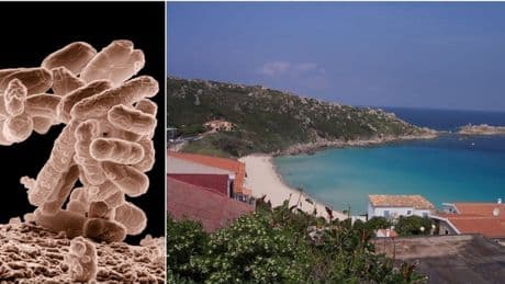 Escherichia Coli in Sardegna, scatta il divieto di balneazione: ecco dove. La mappa delle zone a rischio