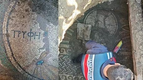 Kaçak kazı yaparken antik mozaik keşfetti! O videoyu sosyal medyada paylaştı: Gözaltına alındı