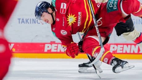 Liveblog zur Düsseldorfer EG: Borzecki wechselt nach Iserlohn