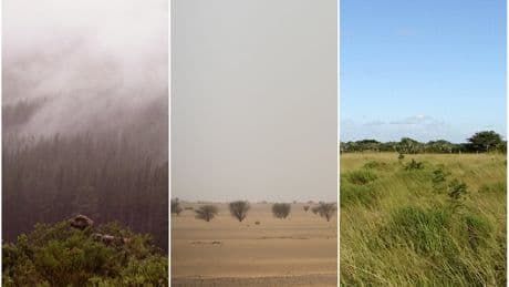Early humans adapted to extreme habitats. Researchers say it set the stage for global migration