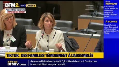 "Est-ce normal de trouver des tutos pour se suicider ?": au Sénat, des familles témoignent des effets psychologiques de Tiktok