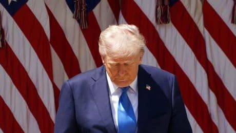 USA – Donald Trump: Bischof von Springfield fordert Entschuldigung wegen Papstbild