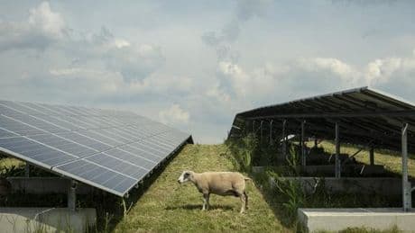 Aux Pays-Bas, un incendie provoque une pluie de débris de panneaux solaires
