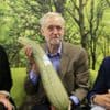 Corbyn attacks Rayner for selling off allotments