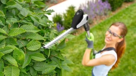 Gtech's 'super light' cordless hedge trimmer is £70 off and makes gardening 'effortless'