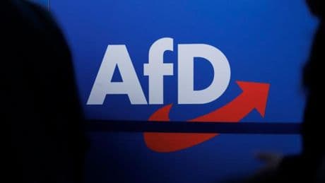Mehrheit der Deutschen befürwortet AfD-Verbotsverfahren
