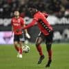 EA Guingamp. Nair, Sissoko et Labeau de retour, Sidibé incertain : le point avant Amiens
