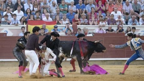 Olga Casado, dos veces volteada, destaca en Cuenca:  Manzanares corta la única oreja
