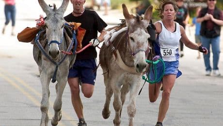 Backcountry runners embrace the thrill of racing with burros in New Mexico