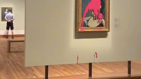 Climate activist throws paint on Picasso painting at Montreal museum