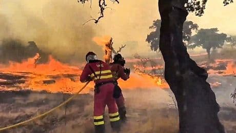 El PP rechaza el pacto de Estado contra los incendios y ve "tacticismo" en Sánchez