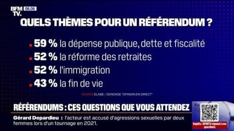 Fiscalité, réforme des retraites, fin de vie... Quels sont les thèmes privilégiés par les Français en cas de référendum?