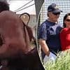 New footage emerges of 'creepy' Bill Belichick's walk of shame as Jordon Hudson's extraordinary ruse for steamy getaway is revealed
