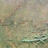 Pioneering satellite reveals rainforests' hidden worlds
