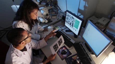 La competencia es el camino, también en la ciencia