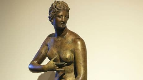 Statur aus Bundesamt entfernt - Sexismus-Streit um nackte Venus immer verrückter