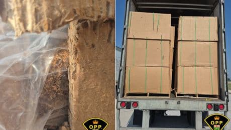 Call for speeding truck leads Ontario police to $4.4M tobacco bust