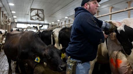 Less farmland is going for organic crops as costs and other issues take root
