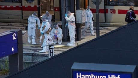 Messerattacke am Hamburger Hauptbahnhof: Warum wird eine potenziell gefährliche Patientin aus der Psychiatrie entlassen?