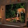 Fire TV Omni Mini-LED: Amazon stellt seine bislang teuersten Smart-TVs vor