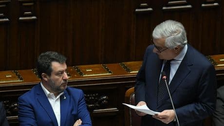 Ius scholae, Forza Italia tira dritto. Ma la Lega rilancia con rottamazione fiscale e flat tax