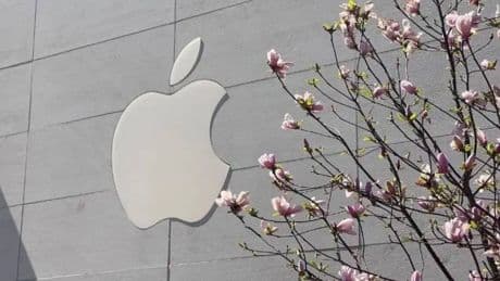 Apple'ın özel planları var: Siri'den uygun fiyatlı MacBook'a kadar bu haftaki gelişmeler