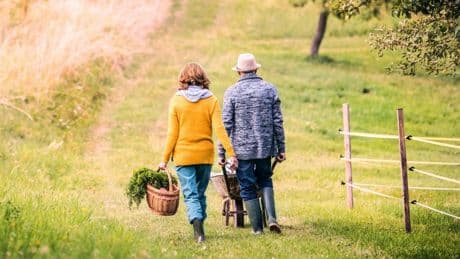 Travailler après la retraite, un nouvel élan pour le bien-être (mais pas pour tout le monde)