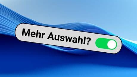 Bitte nachmachen, Microsoft: So haben Sie Windows noch nie eingestellt