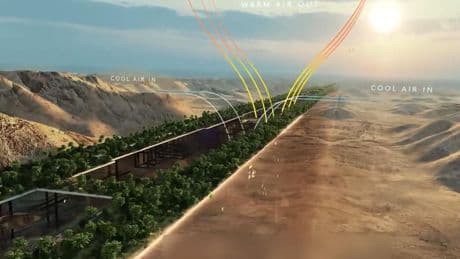 Blutiger Bau: "The Line" in Saudi-Arabien – Mega-Projekt versinkt in Negativschlagzeilen