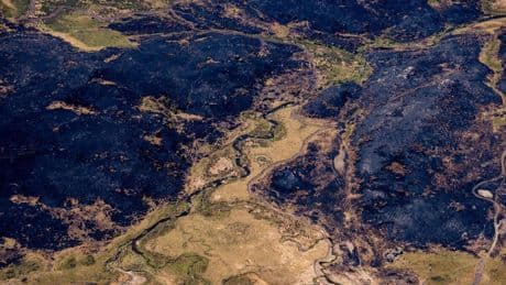 El cambio climático multiplicó por 40 la probabilidad de los grandes incendios de la Península