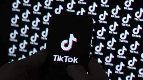 TikTok'un direkt mesajlarına ses kaydı ve görsel gönderme geliyor