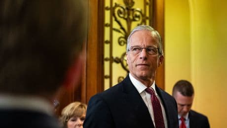 Exclusive: Thune urges "light touch" on AI regulations